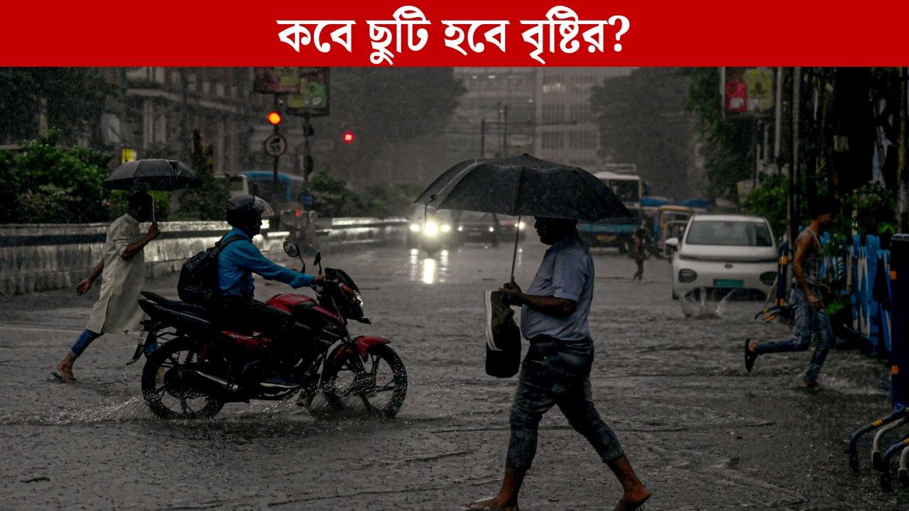 West Bengal Weather-Rain Update: রোদ দেখে বোকা হবেন না, ভেলকি দেখাবে আবহাওয়া, কলকাতা সহ ৫ জেলায় জারি সতর্কতা West Bengal Weather-Rain Update: রোদ দেখে বোকা হবেন না, ভেলকি দেখাবে আবহাওয়া, কলকাতা সহ ৫ জেলায় জারি সতর্কতা
