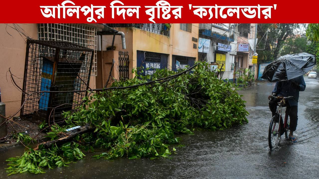 West Bengal Weather Forecast: শীত নয়, আবার আসছে বৃষ্টি! বিরাট পূর্বাভাস হাওয়া অফিসের
