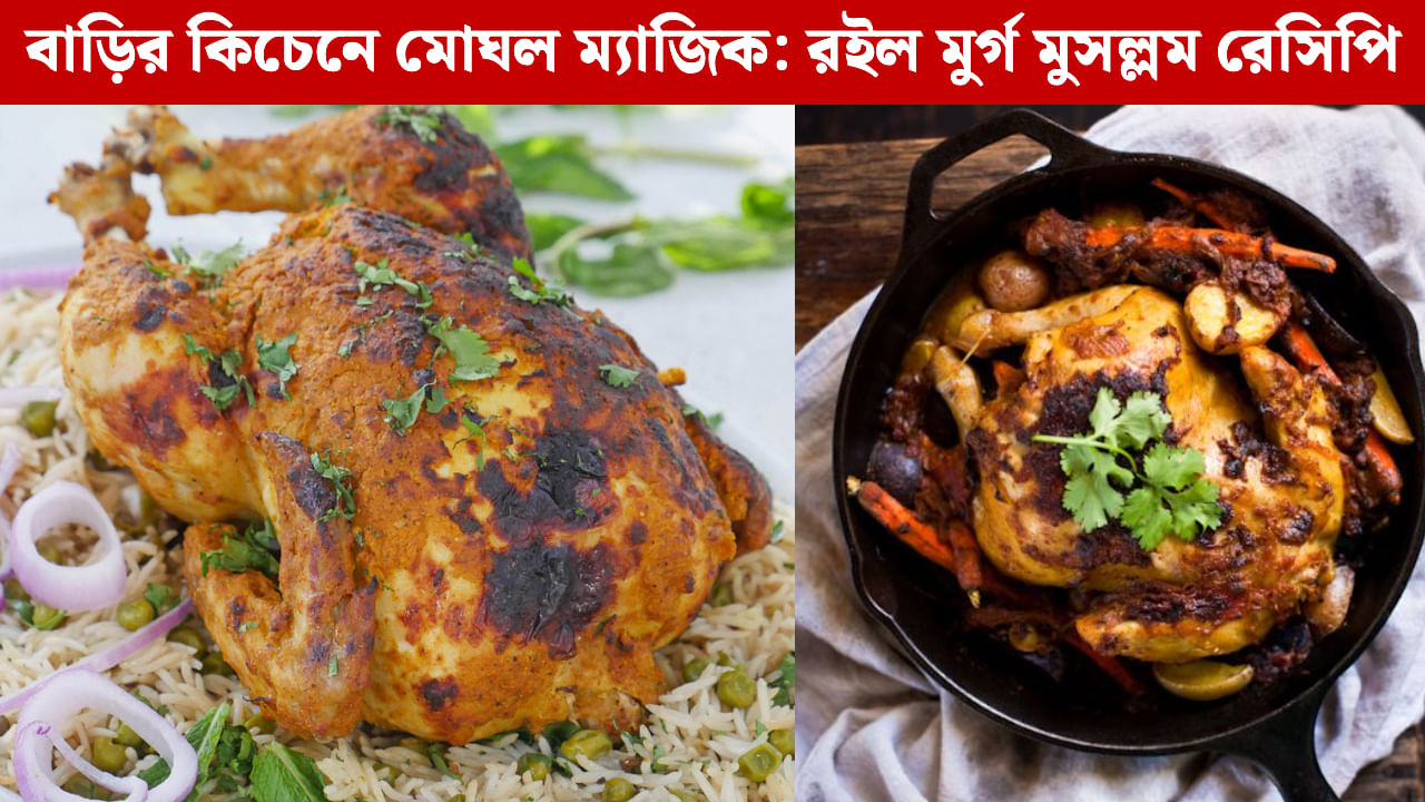Murgh Musallam: রবিবারের রাজকীয় আয়োজন, বাড়িতে সহজে বানিয়ে জমিয়ে খান মুর্গ মুসল্লম Murgh Musallam: রবিবারের রাজকীয় আয়োজন, বাড়িতে সহজে বানিয়ে জমিয়ে খান মুর্গ মুসল্লম