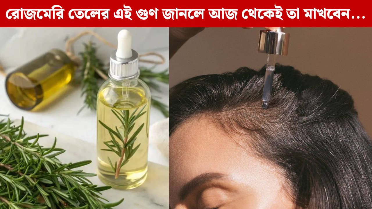 Rosemary Oil: চুলের যত্নে ম্যাজিকের মতো কাজ করে রোজমেরি তেল, জানুন এটি ব্যবহারের সঠিক উপায়