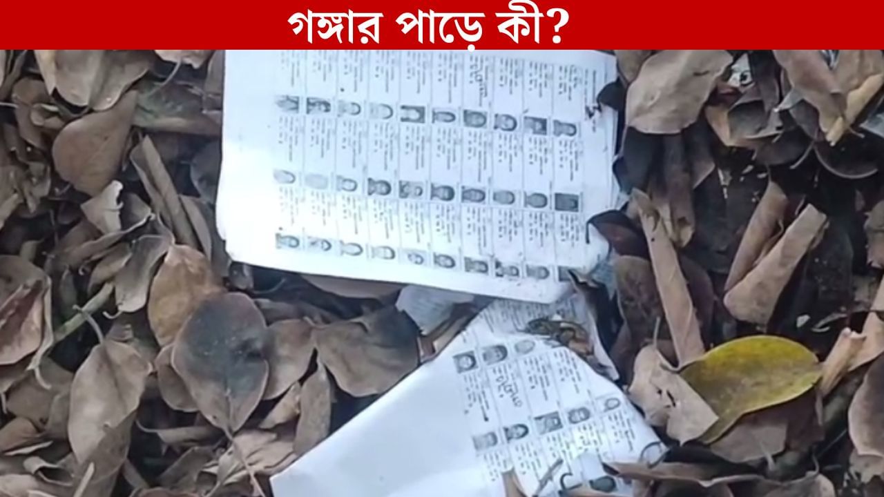 SIR: গঙ্গার পাড়ে গড়াগড়ি খাচ্ছে একটার পর একটা ভোটার কার্ড, SIR-এর আবহে হইচই SIR: গঙ্গার পাড়ে গড়াগড়ি খাচ্ছে একটার পর একটা ভোটার কার্ড, SIR-এর আবহে হইচই