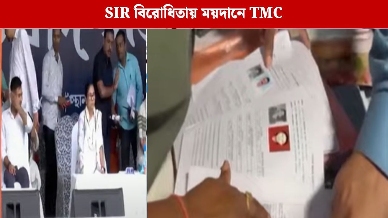 SIR বিরোধিতায় তেড়েফুঁড়ে শাসকদল, নভেম্বরের বড় পরিকল্পনা মমতা-অভিষেকের SIR বিরোধিতায় তেড়েফুঁড়ে শাসকদল, নভেম্বরের বড় পরিকল্পনা মমতা-অভিষেকের