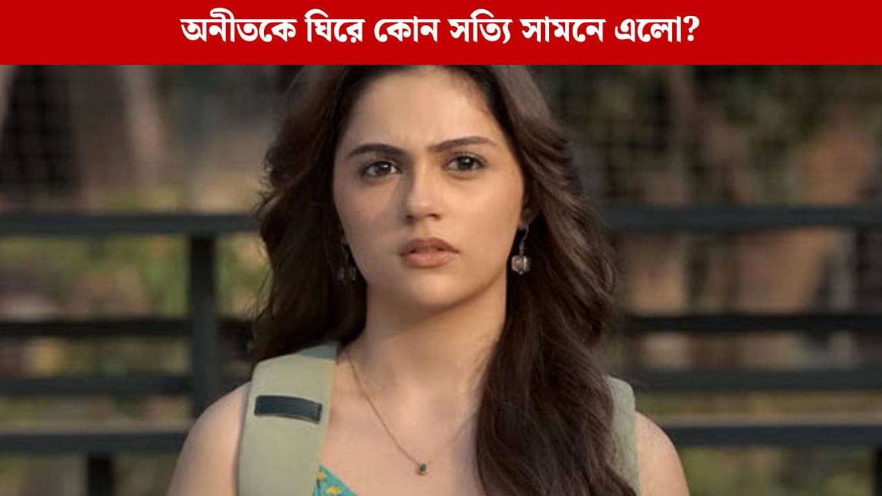 অকারণ বিতর্ক সাইয়ারা ছবির নায়িকা অনীতকে ঘিরে, সামনে এলো সত্যিটা