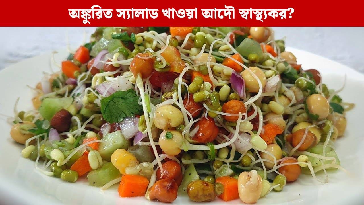 Sprout Salad: স্প্রাউট স্যালাড খাওয়া কি আদৌ স্বাস্থ্যকর? পুষ্টিবিদের কথা শুনলে সব ধারণা বদলে যাবে