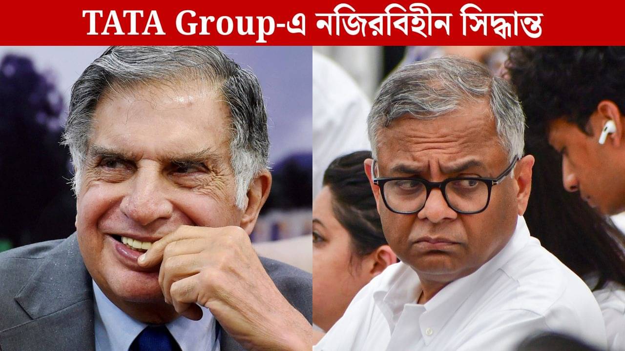 Tata Group: নজিরবিহীন! রতন টাটাও সরে গিয়েছিলেন, কিন্তু সরানো হল না এন চন্দ্রশেখরণকে, কেন?