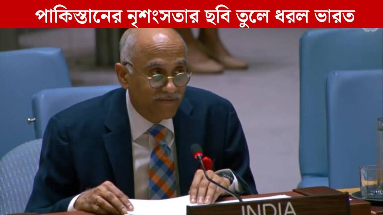 Operation Searchlight: মুক্তিযুদ্ধের সময় বাংলাদেশের ৪ লক্ষ মহিলাকে ধর্ষণ করেছিল, রাষ্ট্রপুঞ্জে পাকিস্তানকে তুলোধনা ভারতের