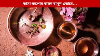 Utensils Cleaning Tips: কাঁসা-রুপোর বাসন এভাবে রাখলে আর পড়বে না কালো কালো ছোপ!