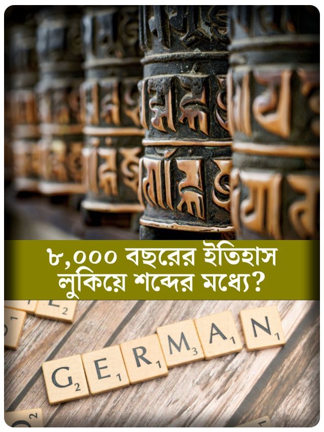 সংস্কৃত মাতৃ আর ইংরেজি মাদার, শুনতে অনেকটা এক রকম, নিতান্ত কাকতালীয় কি?