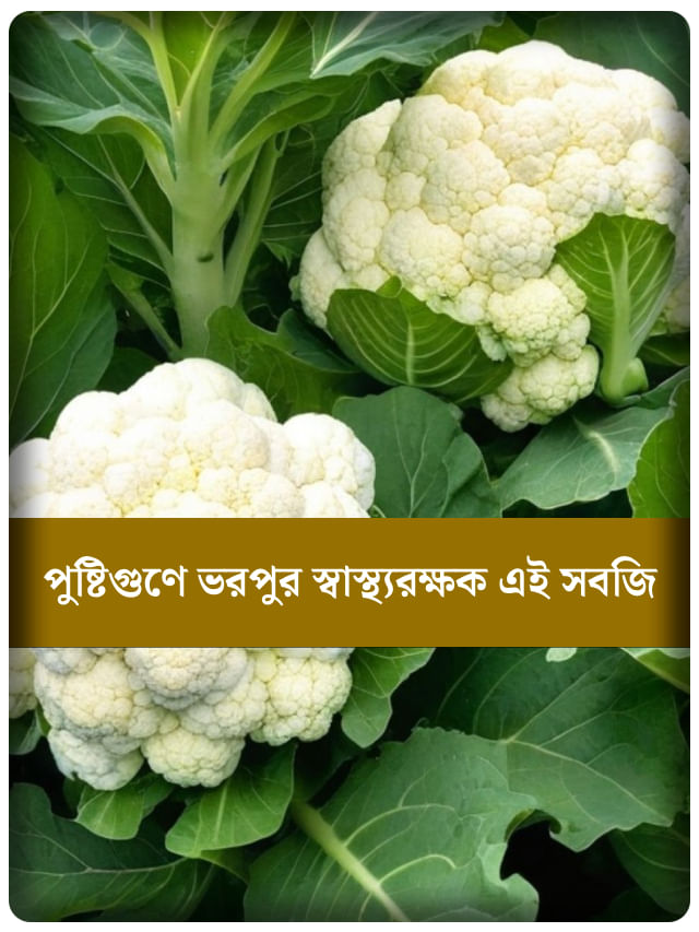 শীত পড়লেই পাতে আসে ফুলকপি, পুষ্টির ভান্ডার ও রোগ প্রতিরোধের রক্ষাকবচ