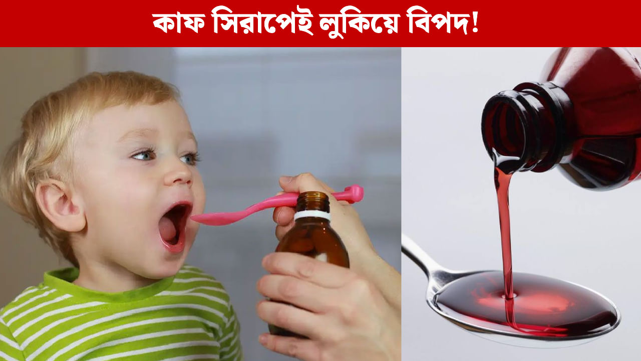 Home Remedies: সর্দি-কাশিতে শিশুকে আর কাফ সিরাপ নয়, ভরসা রাখুন ঘরোয়া উপাদানে