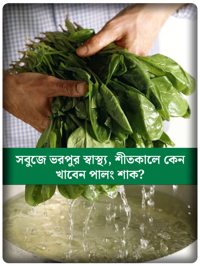 শীতের সবুজ সোনা! পালং শাকের গুণে শরীর থাকবে ফিট ও ফ্রেশ
