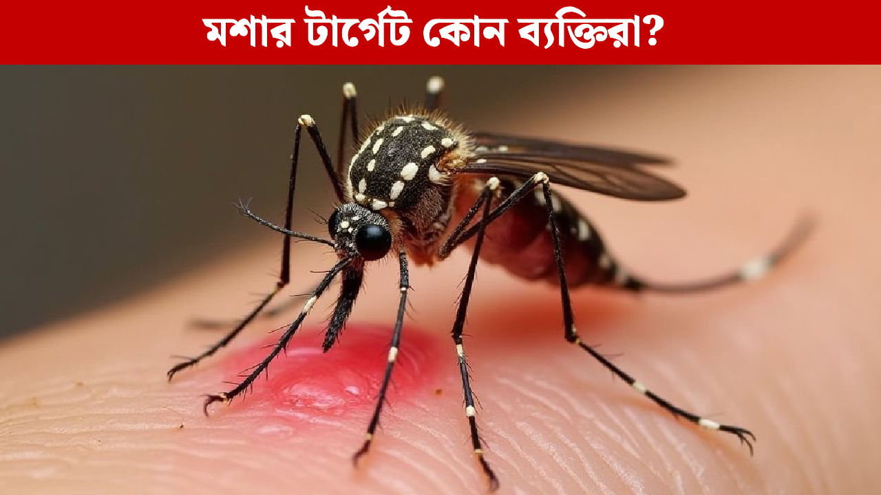 Mosquitoes bite: কোন কারণে ও কাদের মশা বেশি কামড়ায়? গবেষণা যা বলছে শুনলে চমকে যাবেন!