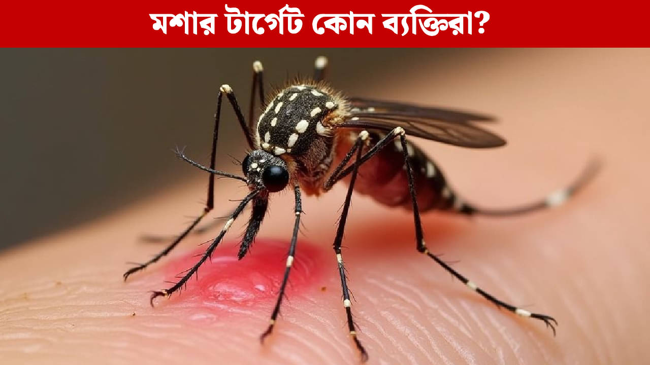Mosquitoes bite: কোন কারণে ও কাদের মশা বেশি কামড়ায়? গবেষণা যা বলছে শুনলে চমকে যাবেন!