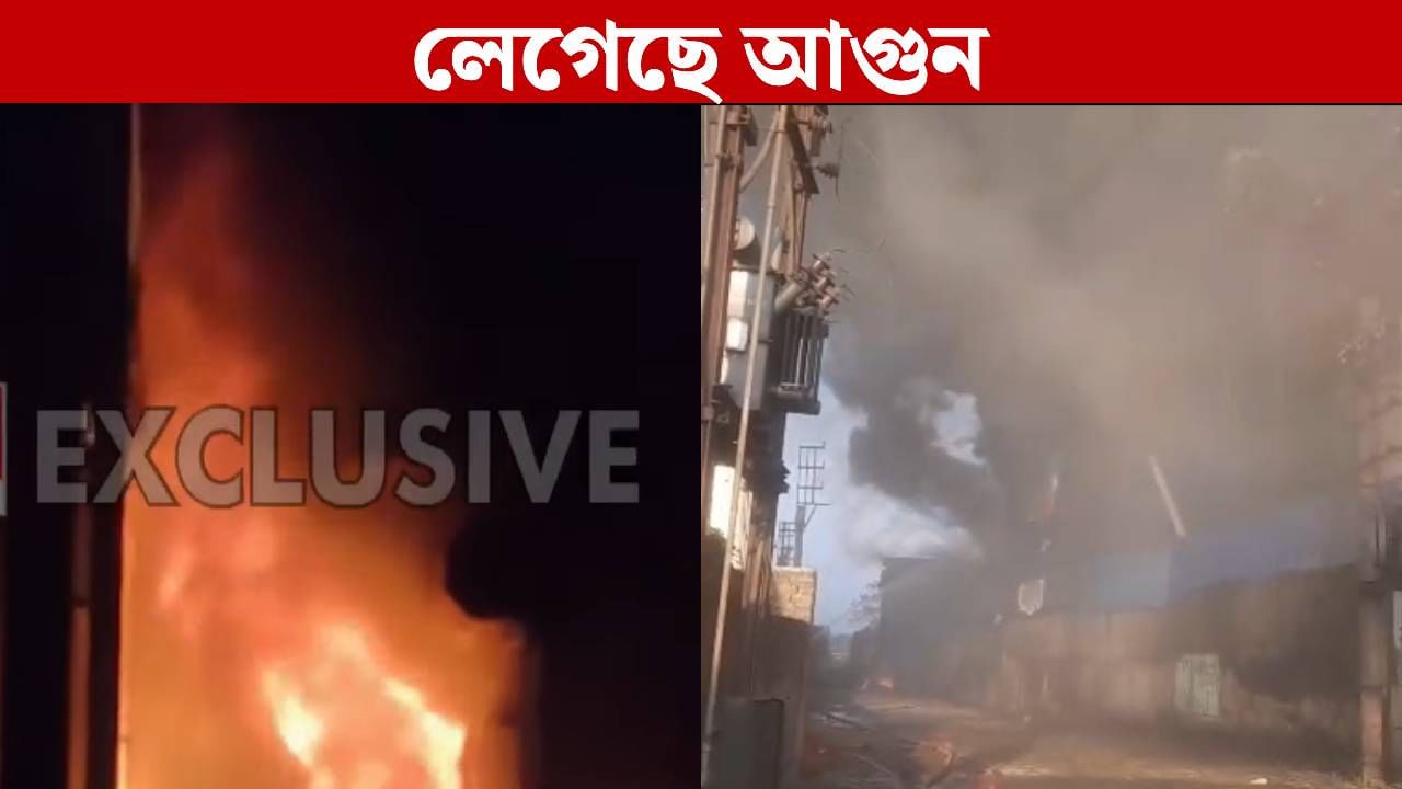 Fire Burst in Kali Puja: পুড়ে খাক কালীপুজোর মণ্ডপ! দাউ দাউ করে জ্বলছে রঙের কারখানা, ছুটে গেল ৮টি ইঞ্জিন Fire Burst in Kali Puja: পুড়ে খাক কালীপুজোর মণ্ডপ! দাউ দাউ করে জ্বলছে রঙের কারখানা, ছুটে গেল ৮টি ইঞ্জিন
