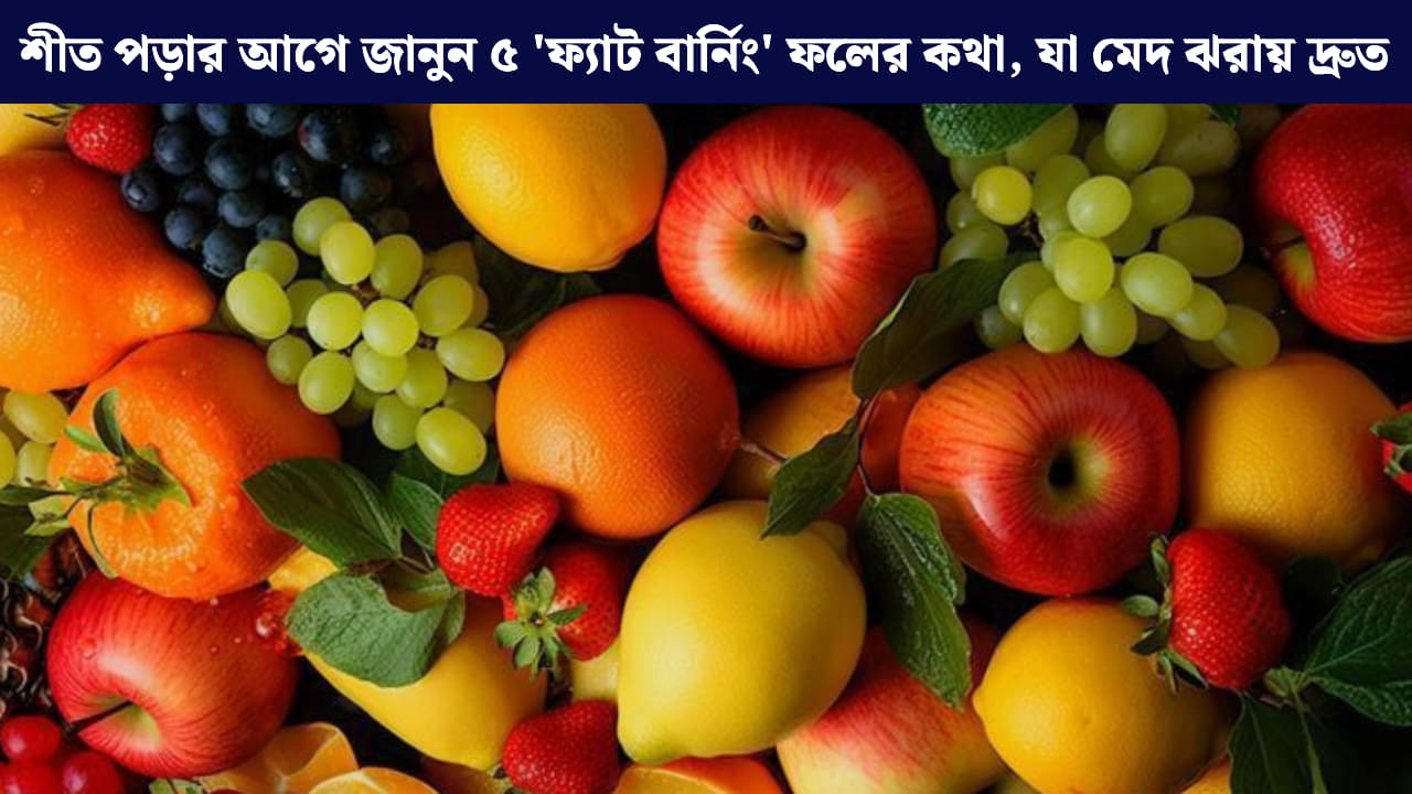 Fruits for Health: শীতকালে জমিয়ে খান, অথচ ওজন থাকবে নিয়ন্ত্রণে! ডায়েটে রাখুন এই ৫ ম্যাজিক ফল