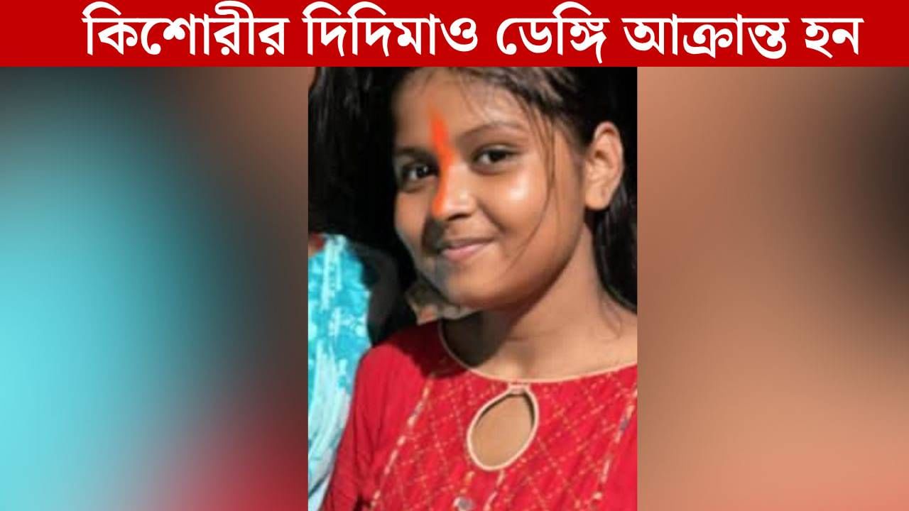 Dengue: 'সপ্তমী পর্যন্ত ভালই ছিল', বিধাননগরে ডেঙ্গি আক্রান্ত কিশোরীর মৃত্যু Dengue: 'সপ্তমী পর্যন্ত ভালই ছিল', বিধাননগরে ডেঙ্গি আক্রান্ত কিশোরীর মৃত্যু