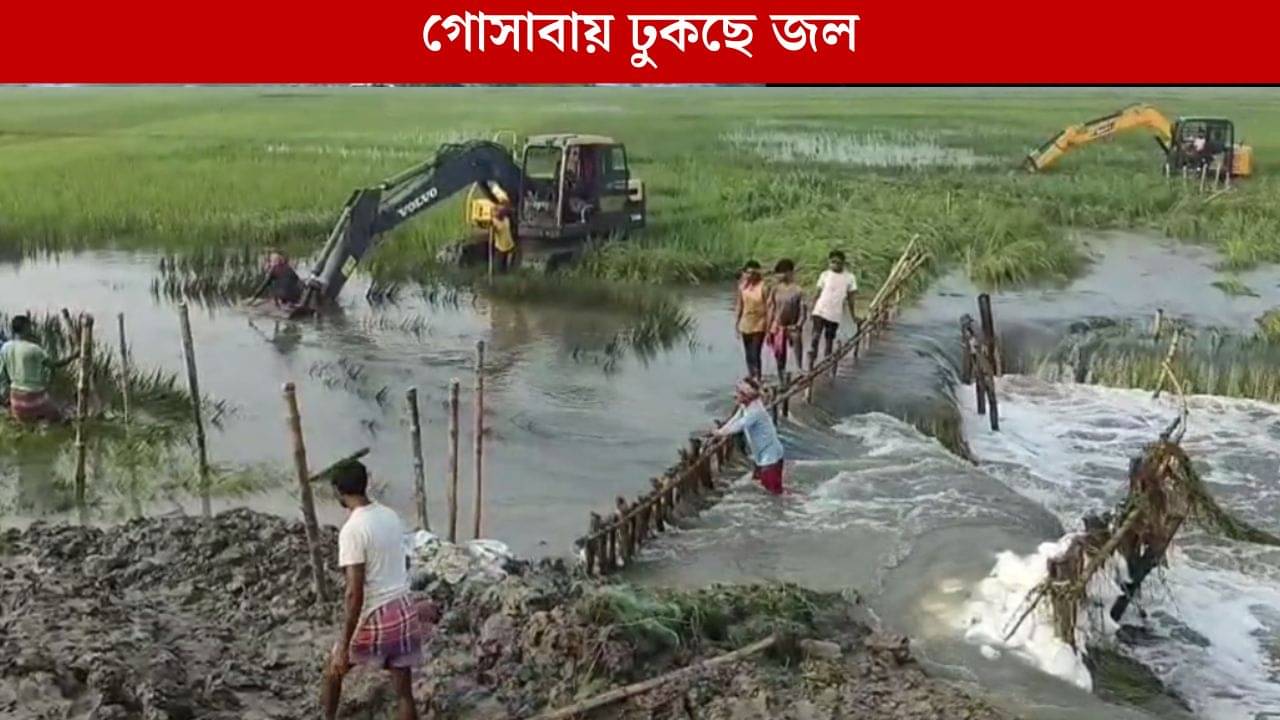 Sundarban: বাঁধে ফাটল, জোয়ারের জল ঢুকছিল হু-হু করে, সব হারানোর ভয়ে কাঁটা সুন্দরবনবাসী