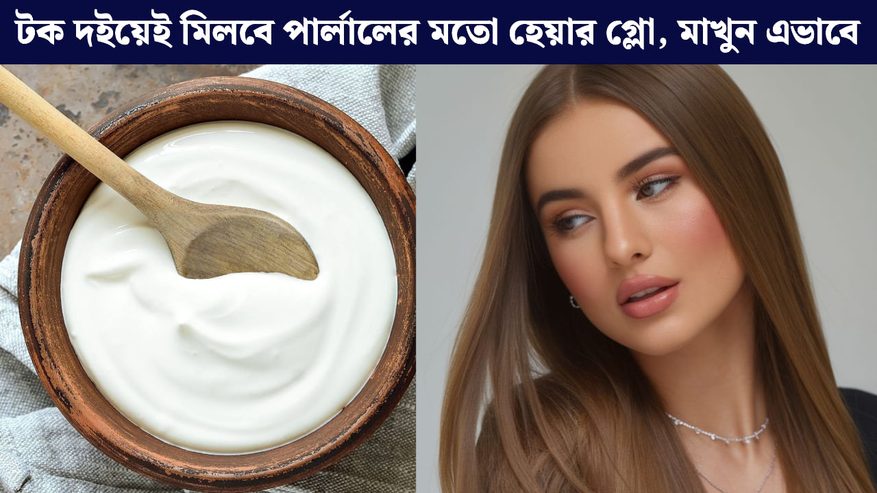 Hair Care: টক দইয়ে চুলের যত্ন, প্রাকৃতিক কন্ডিশনারে ফিরবে ঝলমলে উজ্জ্বলতা! Hair Care: টক দইয়ে চুলের যত্ন, প্রাকৃতিক কন্ডিশনারে ফিরবে ঝলমলে উজ্জ্বলতা!