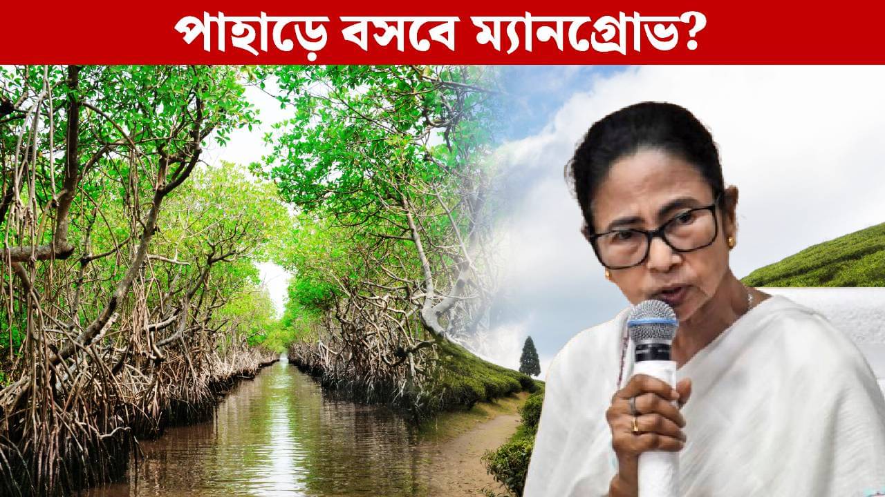 Mamata Banerjee: পাহাড় রক্ষায় বসানো হবে ম্যানগ্রোভ, পরামর্শ মমতার, কী বলছেন পরিবেশবিদরা?
