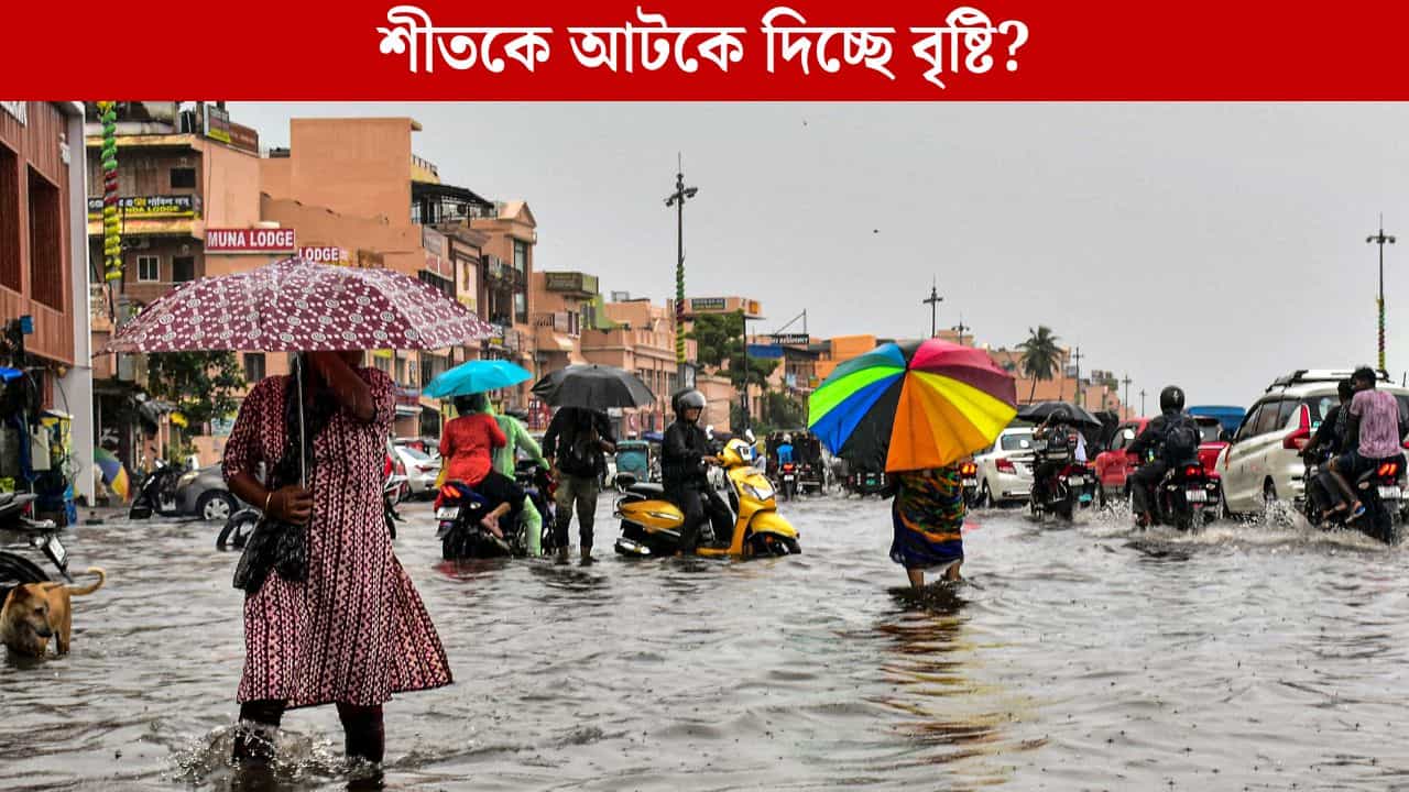 Kolkata-West Bengal Weather: বঙ্গোপসাগরে পাক খাচ্ছে 'সে', সপ্তাহন্তে বিরাট বদলে যেতে পারে আবহাওয়া, জানুন আপডেট Kolkata-West Bengal Weather: বঙ্গোপসাগরে পাক খাচ্ছে 'সে', সপ্তাহন্তে বিরাট বদলে যেতে পারে আবহাওয়া, জানুন আপডেট