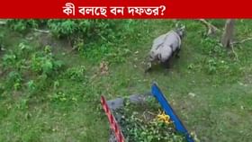 বন্যা বিপর্যস্ত উত্তরবঙ্গে উদ্ধার আরও ২ গন্ডার, ফিরল 'আপন আস্তানা'-য়
