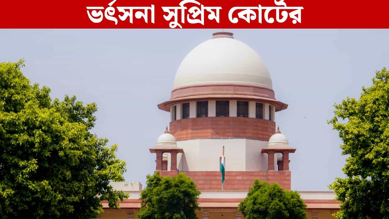 Supreme Court: ওরা তো শোরুম খুলে বসেছে, যাঁকে-তাঁকে সার্টিফিকেট দিচ্ছে: সুপ্রিম কোর্ট Supreme Court: ওরা তো শোরুম খুলে বসেছে, যাঁকে-তাঁকে সার্টিফিকেট দিচ্ছে: সুপ্রিম কোর্ট