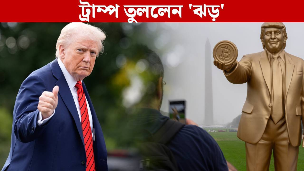 Crypto Crash: ফের ট্রাম্প, বাজার থেকে মুছে গেল ১৯০ কোটি ডলার! সর্বস্ব খুইয়ে আত্মঘাতী ১