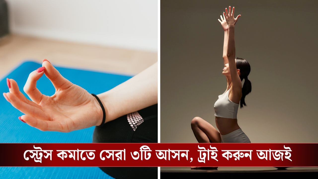 Pranayama and Yoga Tips: ৫ মিনিটে মেজাজ শান্ত করার ৩ অব্যর্থ প্রাণায়াম ও যোগা টিপস Pranayama and Yoga Tips: ৫ মিনিটে মেজাজ শান্ত করার ৩ অব্যর্থ প্রাণায়াম ও যোগা টিপস