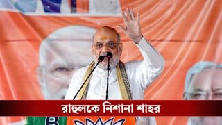 Amit Shah: ‘বিহার থেকে ইটালি যাত্রা করলেও দেশ থেকে অনুপ্রবেশকারীদের তাড়াবই’, রাহুলকে নিশানা শাহর
