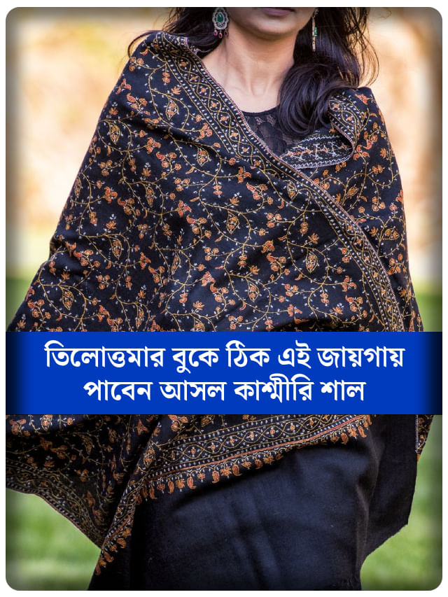কলকাতার কোন জায়গায় পাবেন আসল কাশ্মীরি শাল? ঝটপট জেনে নিন