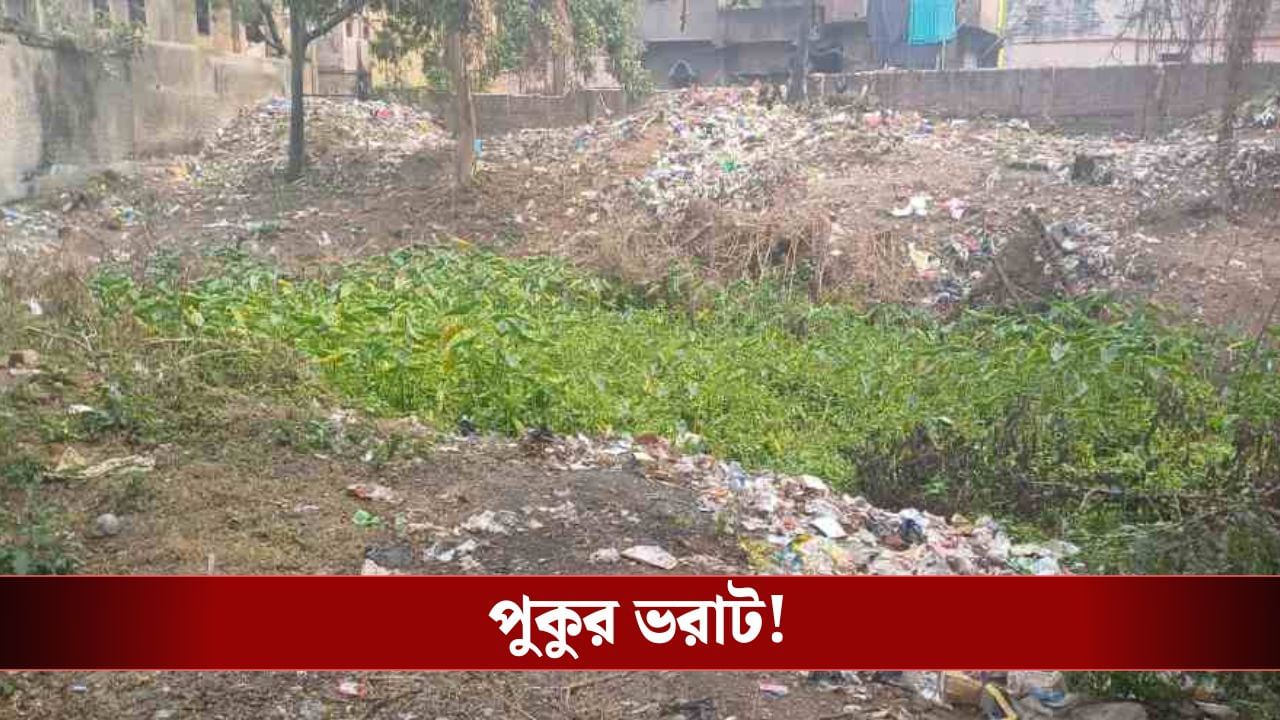 Asansol: পুকুর বুজেছে ময়লায়, জোর রাজনৈতিক চর্চা Asansol: পুকুর বুজেছে ময়লায়, জোর রাজনৈতিক চর্চা