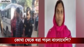 সীমান্তে বাংলাদেশি অনুপ্রবেশকারীদের ধরল BSF, তারপর...