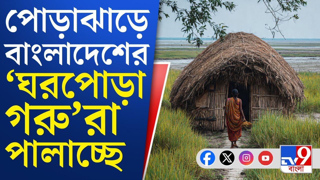 নদীর চরে থাকা লোকজন হঠাৎ উধাও, বাংলাদেশে ফেরার হিড়িক? নদীর চরে থাকা লোকজন হঠাৎ উধাও, বাংলাদেশে ফেরার হিড়িক?