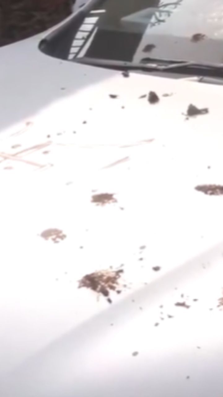 ভোটের বিহারে উপমুখ্যমন্ত্রীর কনভয়ে হামলা