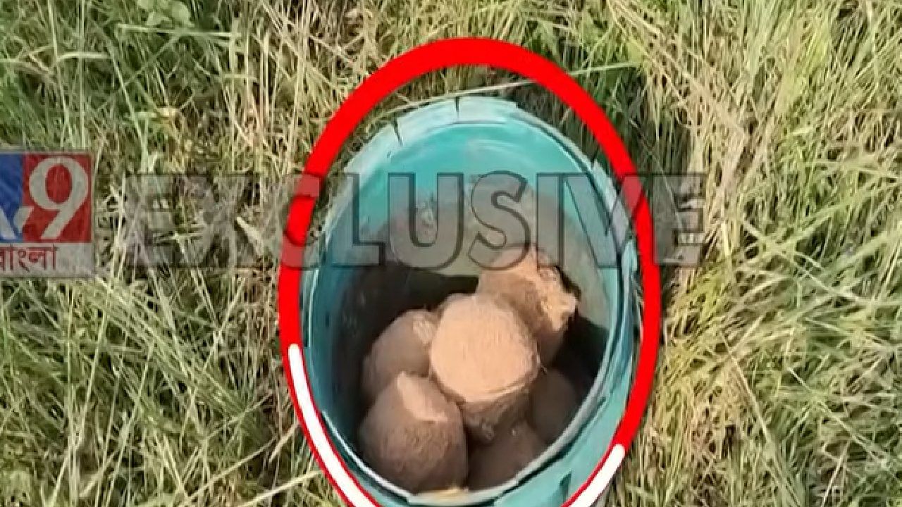 Murshidabad: Murshidabad: দু’সপ্তাহে হাজারেরও বেশি বোমা উদ্ধার মুর্শিদাবাদে Murshidabad: Murshidabad: দু’সপ্তাহে হাজারেরও বেশি বোমা উদ্ধার মুর্শিদাবাদে