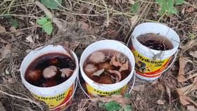 লিচুবাগান, সামশেরগঞ্জ, দেবীদাসপুর! জায়গা-জায়গা থেকে উদ্ধার বোমা