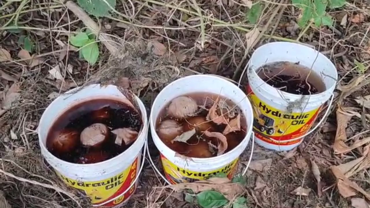 Murshidabad news: লিচুবাগান, সামশেরগঞ্জ, দেবীদাসপুর! বোমা উদ্ধারে মুর্শিদাবাদ যেন নিজেই নিজের প্রতিযোগী Murshidabad news: লিচুবাগান, সামশেরগঞ্জ, দেবীদাসপুর! বোমা উদ্ধারে মুর্শিদাবাদ যেন নিজেই নিজের প্রতিযোগী