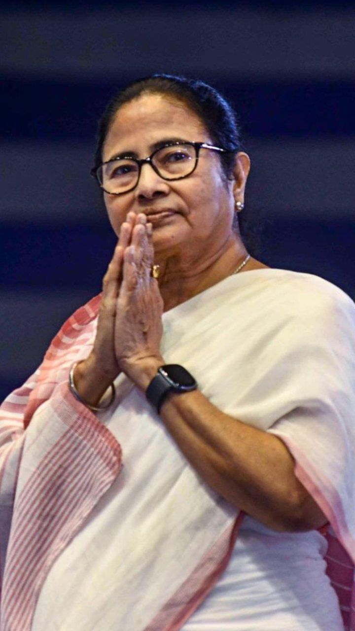 হাম্পটি ডাম্পটি বাজেট: মমতা