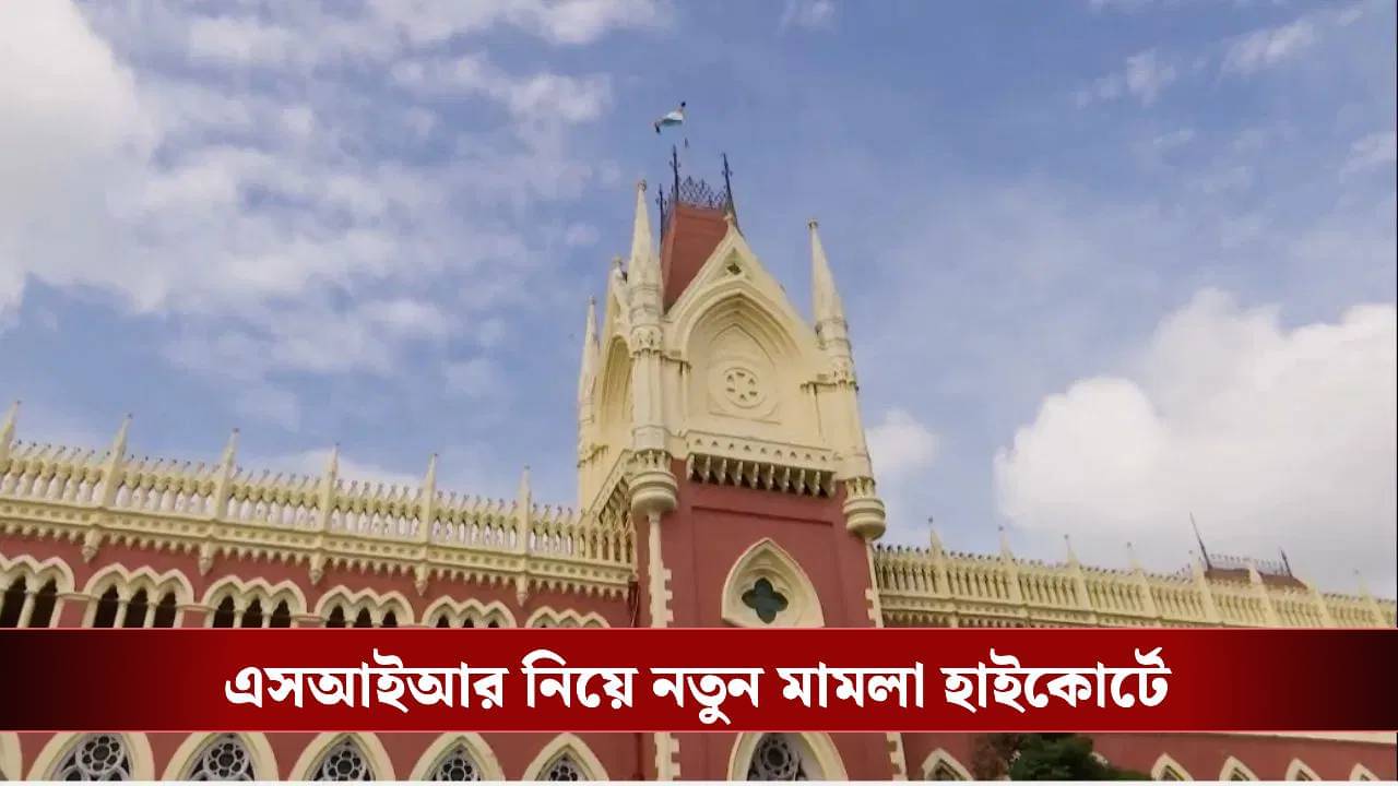 CAA-তে আবেদনের রসিদকে মান্যতা দেওয়া হোক SIR-এ, হাইকোর্টে স্বেচ্ছাসেবী সংস্থা