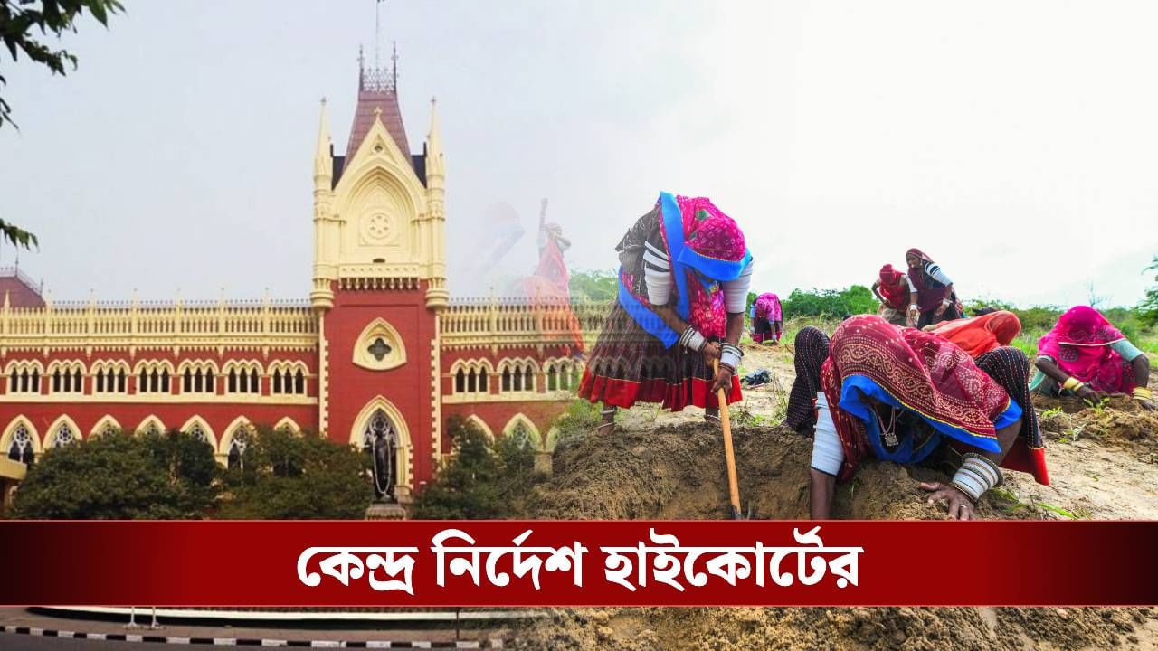 MGNREGA in High Court: ১০০ দিনের কাজ নিয়ে কেন্দ্রকে ফের 'ডেডলাইন' হাইকোর্টের