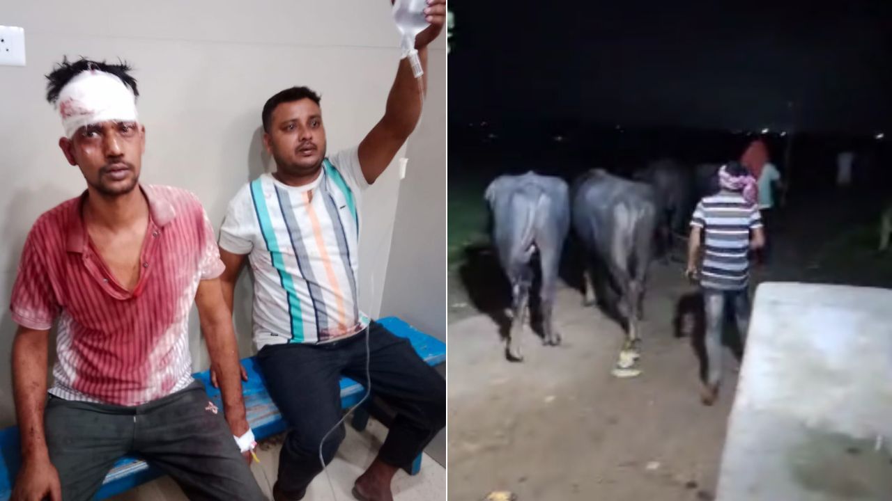 Samserganj News: গরু পাচার রুখতে গিয়ে আক্রান্ত পুলিশ, মার খেলেন এক সিভিক ভলান্টিয়ারও