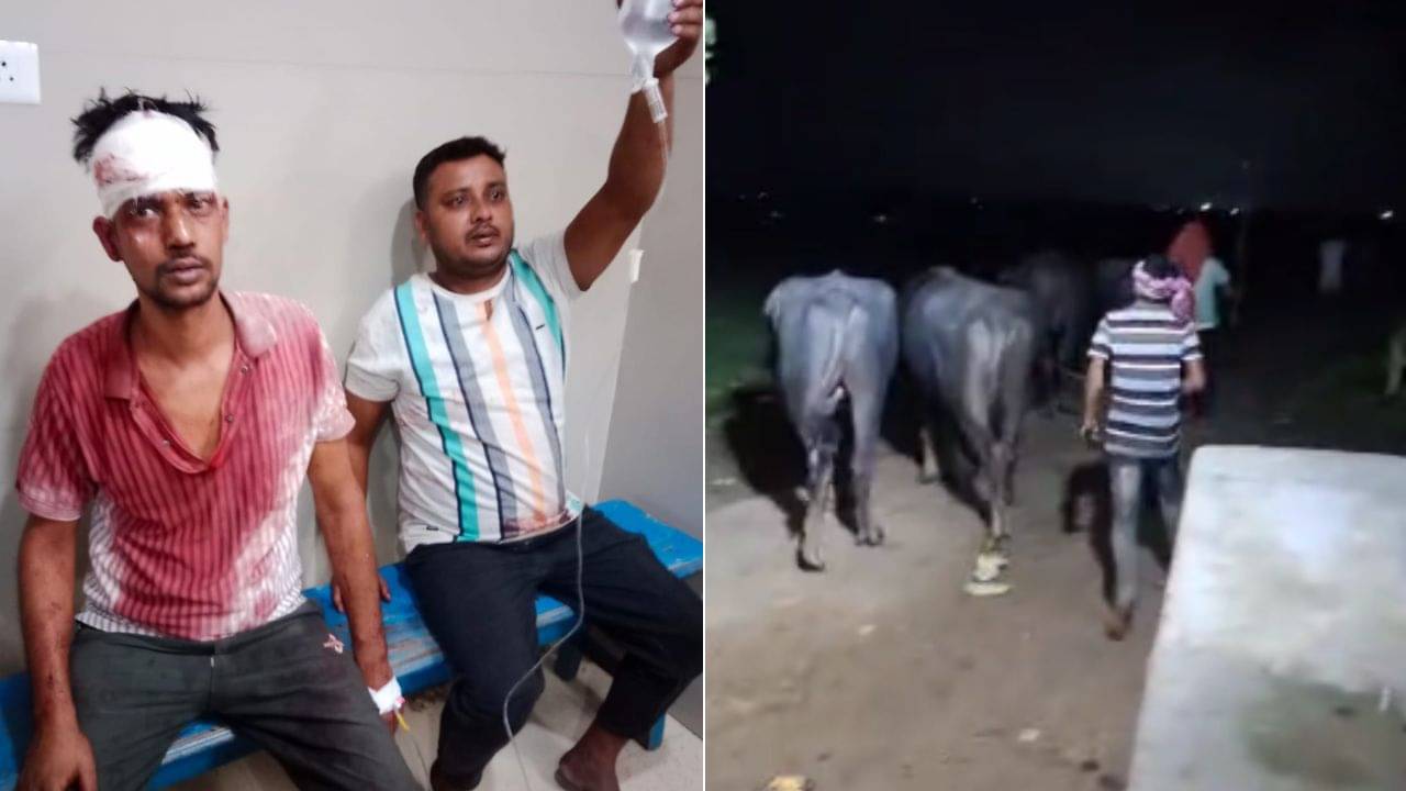 Samserganj News: গরু পাচার রুখতে গিয়ে আক্রান্ত পুলিশ, মার খেলেন এক সিভিক ভলান্টিয়ারও