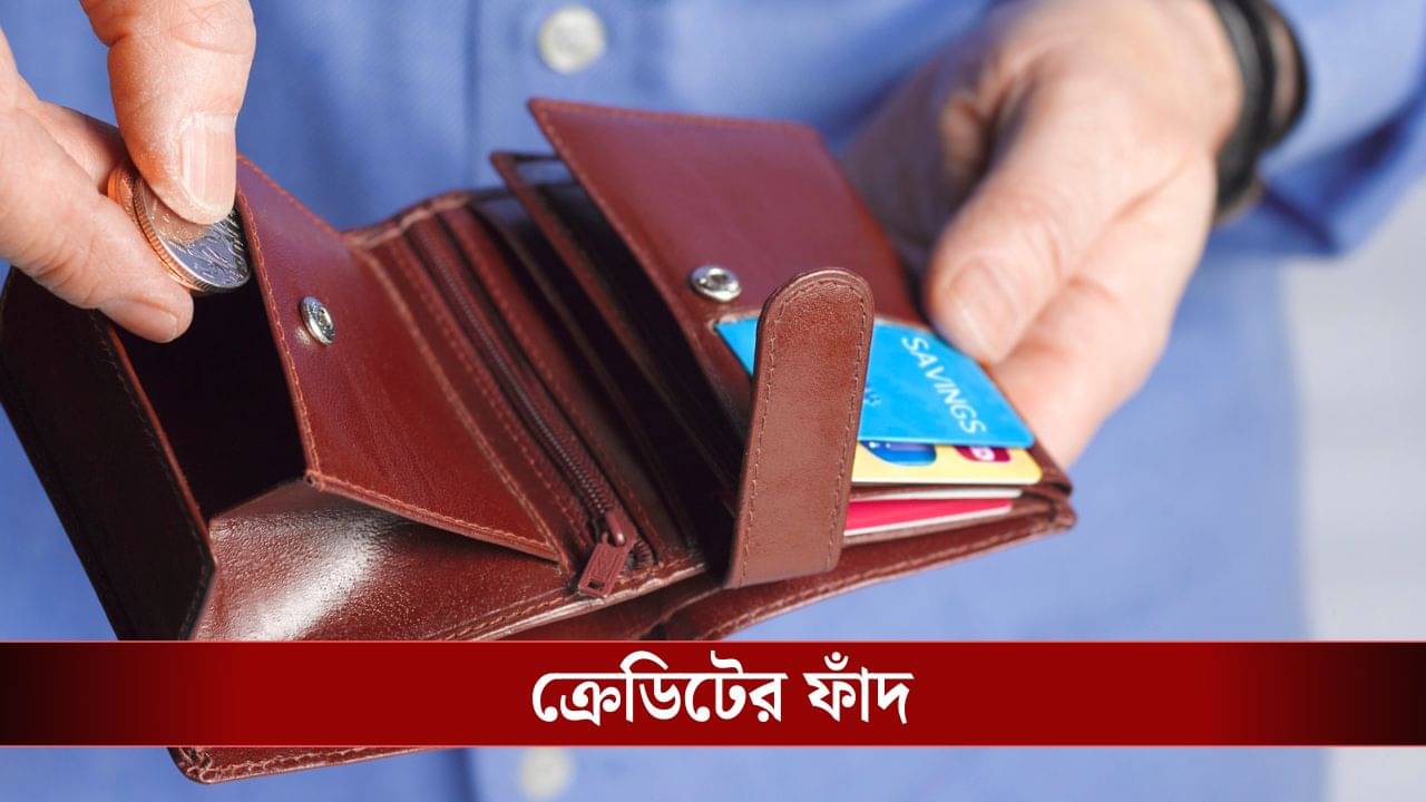 Credit Card: রোজ ফোন আসে! ব্যাঙ্ক Credit Card নিতে এত জোর করে কেন, জানেন?