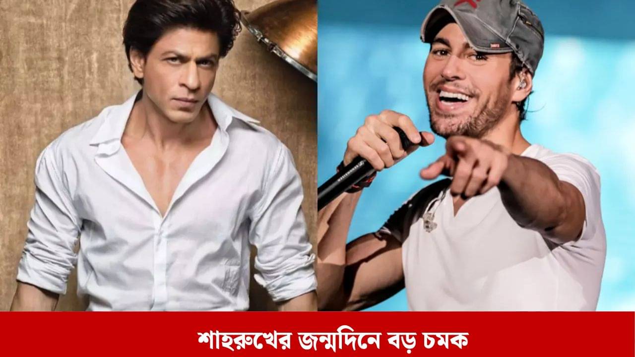 শাহরুখের বার্থডে পার্টিতে আসবেন এনরিকে ইগলেসিয়াস!  বড় খবর দেবেন বাদশা?