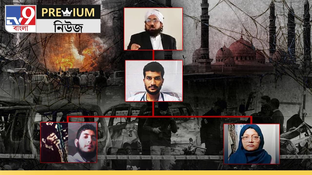 Explained: লাদেনের মডেলেই ‘কামাল’, কীভাবে জঙ্গিতে পরিণত হল চিকিৎসকরা?