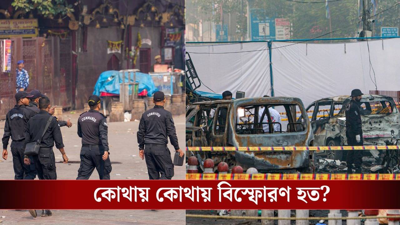 Delhi Blast Update: বদলা নিত বাবরি মসজিদ ধ্বংসের, ৬ ডিসেম্বরই হত সিরিয়াল ব্লাস্ট! জঙ্গিদের প্ল্যান ফাঁস