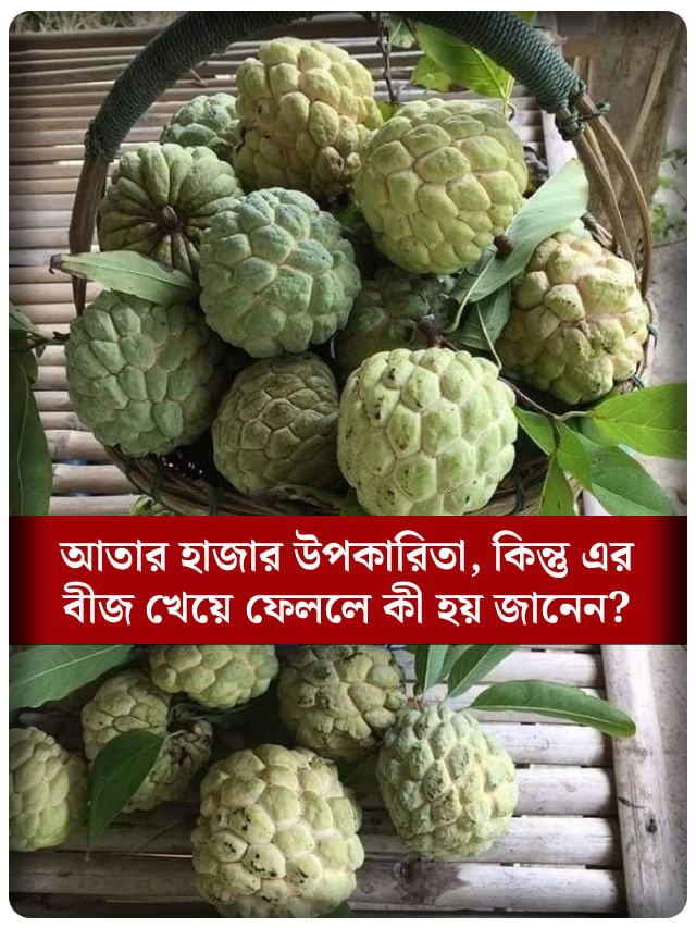 আতা খেতে গিয়ে বীজ গিলে ফেলেছেন? জানেন শরীরের ভিতর কী ঘটবে?