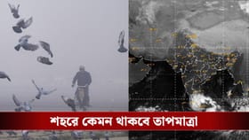 এগোচ্ছে নতুন সাইক্লোন 'দিতওয়াহ', কী প্রভাব পড়বে বাংলায়