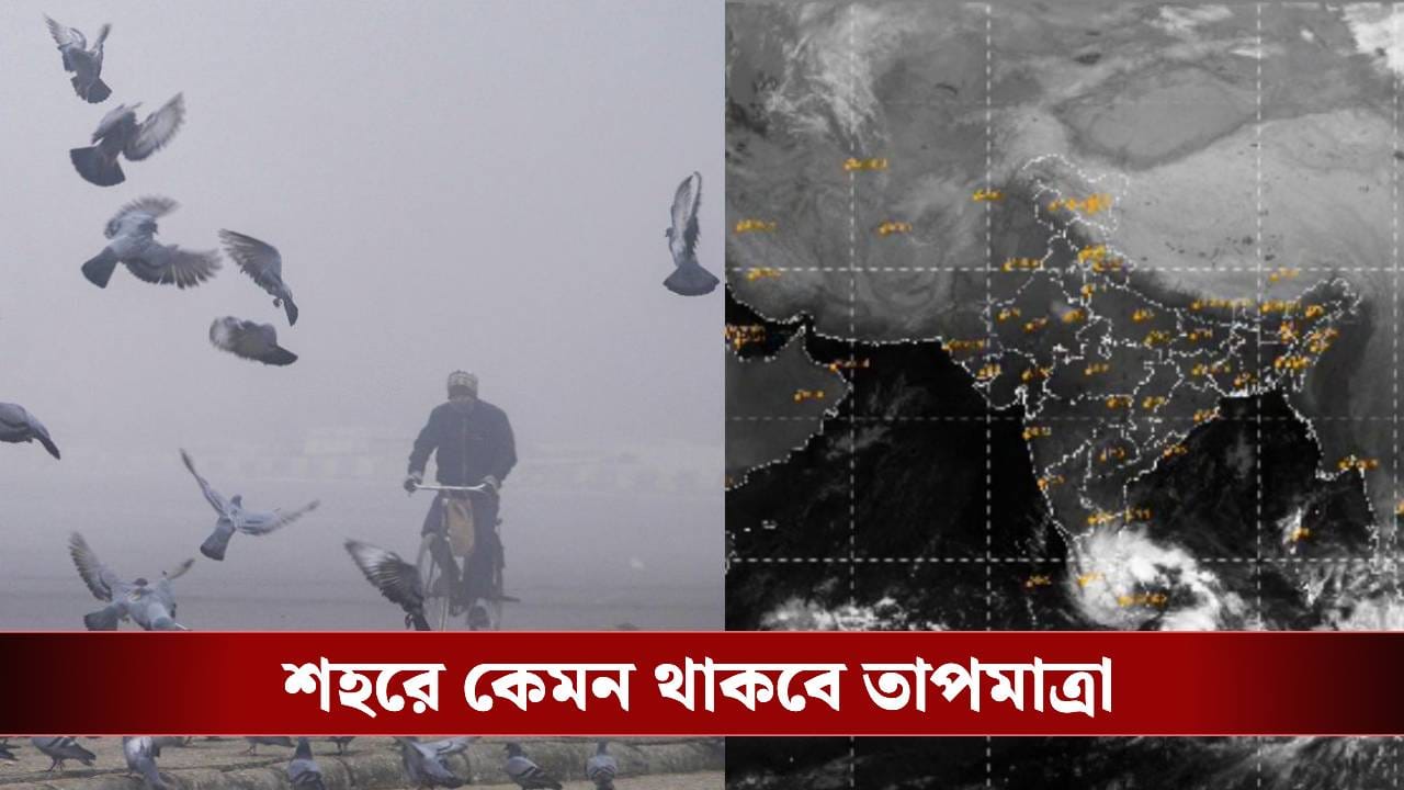 West Bengal Weather Report: এগোচ্ছে নতুন সাইক্লোন 'দিতওয়াহ', কী প্রভাব পড়বে বাংলায়