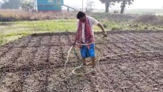 Ghatal News: পরনে লুঙ্গি-গেঞ্জি পরে আলু চাষে ব্যস্ত BJP বিধায়ক, TMC বলল, ‘নাটক’